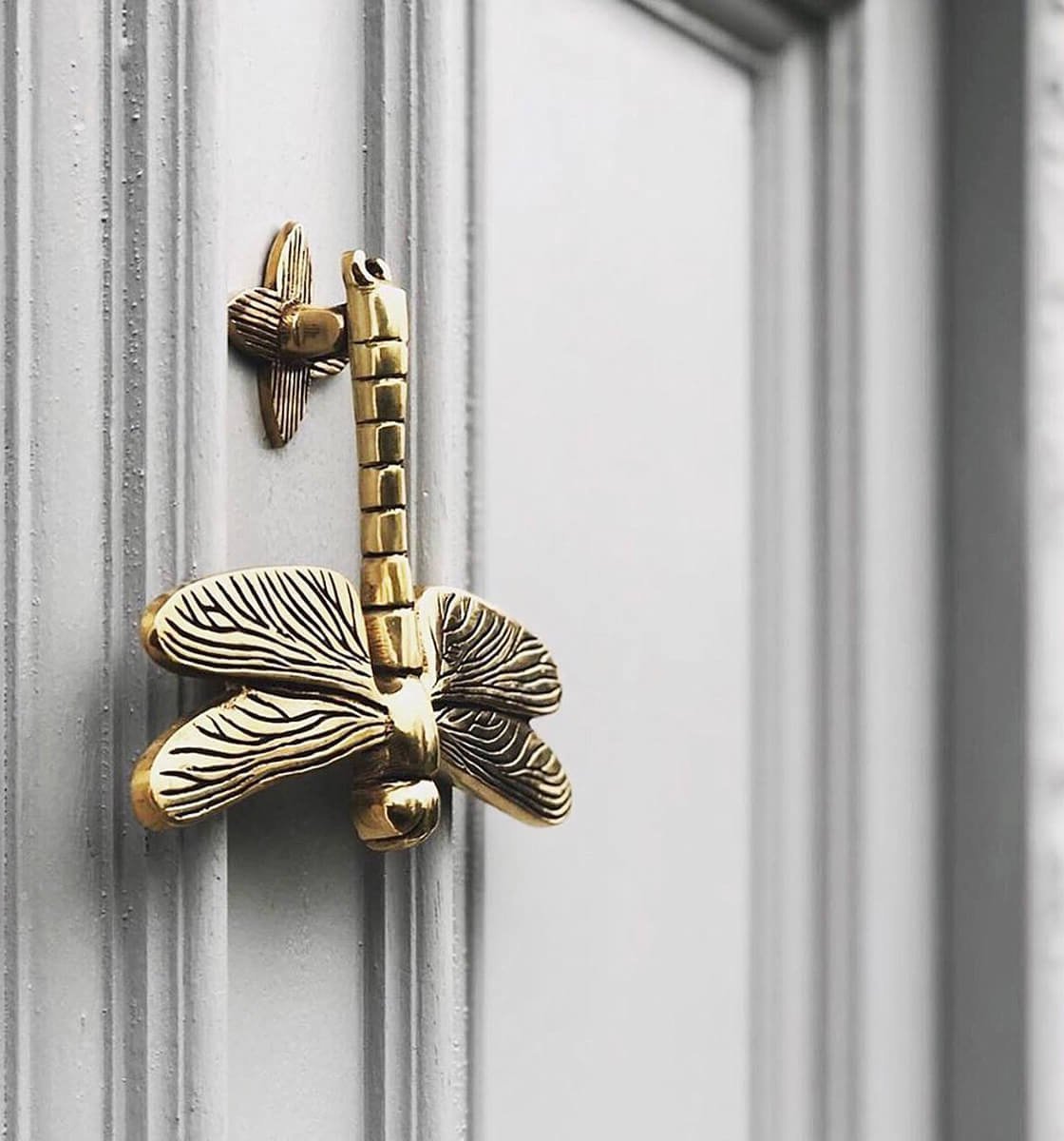 Brass Dragonfly Door Knocker Grey Door - Coates & Warner